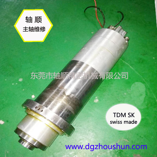 【主軸維修】瑞士 TDM SK 電主軸-德國